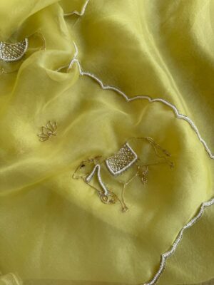 Pure Organza Silk Saree with Pichwai-Inspired Hand Zardosi Embroidery
