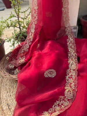 Pure Organza Silk Saree with Hand Aari Embroidery